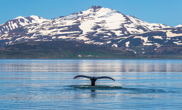 Πάσχα στην Ισλανδία, 7 ημέρες/ 5 νύχτες αεροπορικώς από Αθήνα  ‣ Πάσχα (NX) 