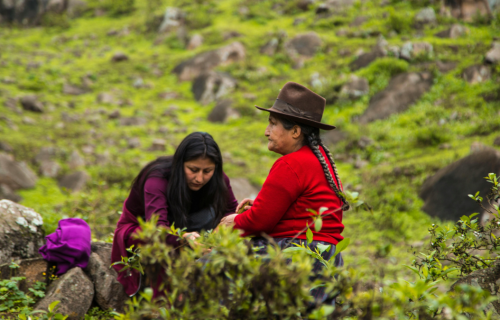 Περού- Στα μονοπάτια των Ίνκας 9 ημέρες / 7 νύχτες, αεροπορικώς από Αθήνα & Θεσσαλονίκη ‣ Ιανουάριος έως Δεκέμβριος 2026 (CM)