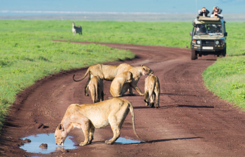 Ζανζιβάρη & Σαφάρι Νυερέρε, εξωτική περιπέτεια στην Τανζανία 9 ημέρες αεροπορικώς από Αθήνα ‣ Ιούλιος έως Δεκέμβριος (GS) 