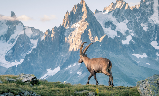 Black Friday Ελβετική Μαγεία - Αλπικό Τρένο, 4, 5 ημέρες αεροπορικώς από Θεσσαλονίκη ‣ Χριστούγεννα - Πρωτοχρονιά - Θεοφάνια (H)