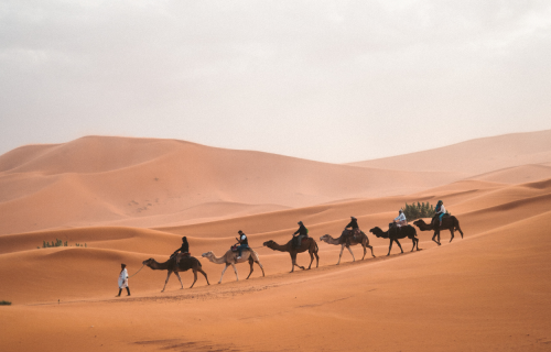 Το Μαρόκο των αντιθέσεων, 8 ημέρες αεροπορικώς από Θεσσαλονίκη ‣ Οκτώβριος έως Μάιος (GN)
