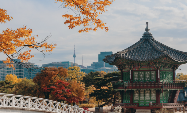 Νότια Κορέα - Σεούλ, 8 ημέρες αεροπορικώς από Αθήνα ‣  Νοέμβριος - Χριστούγεννα - Πρωτοχρονιά (J)