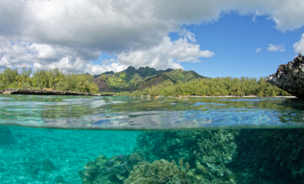 Γαλλική Πολυνησία- Ταϊτή- Μορέα- Μπόρα Μπόρα, 11 ημέρες/ 7 νύχτες  ‣ Νοέμβριος έως Απρίλιος (CM)