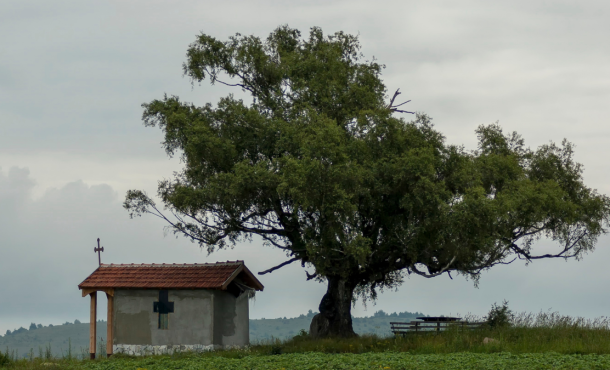 Αμφιλοχία, 3 ημέρες οδικώς από Θεσσαλονίκη ‣ 28η Οκτωβρίου (P)