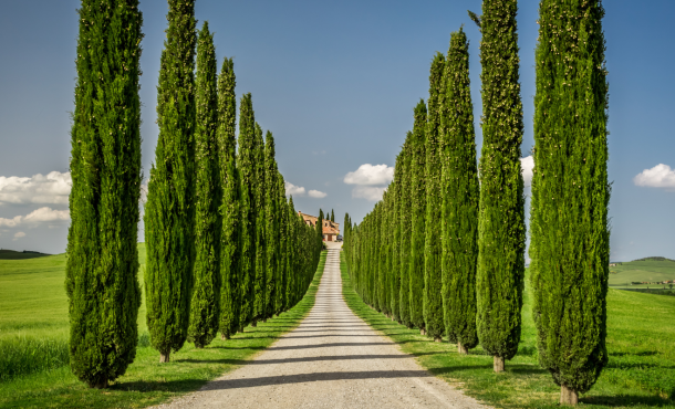 Αναγεννησιακή Τοσκάνη - Φλωρεντία - Cinque Terre, 5 ημέρες αεροπορικώς από Θεσσαλονίκη ‣ Απρίλιος - Μάιος - Ιούνιος - Σεπτέμβριος - Οκτώβριος (A)